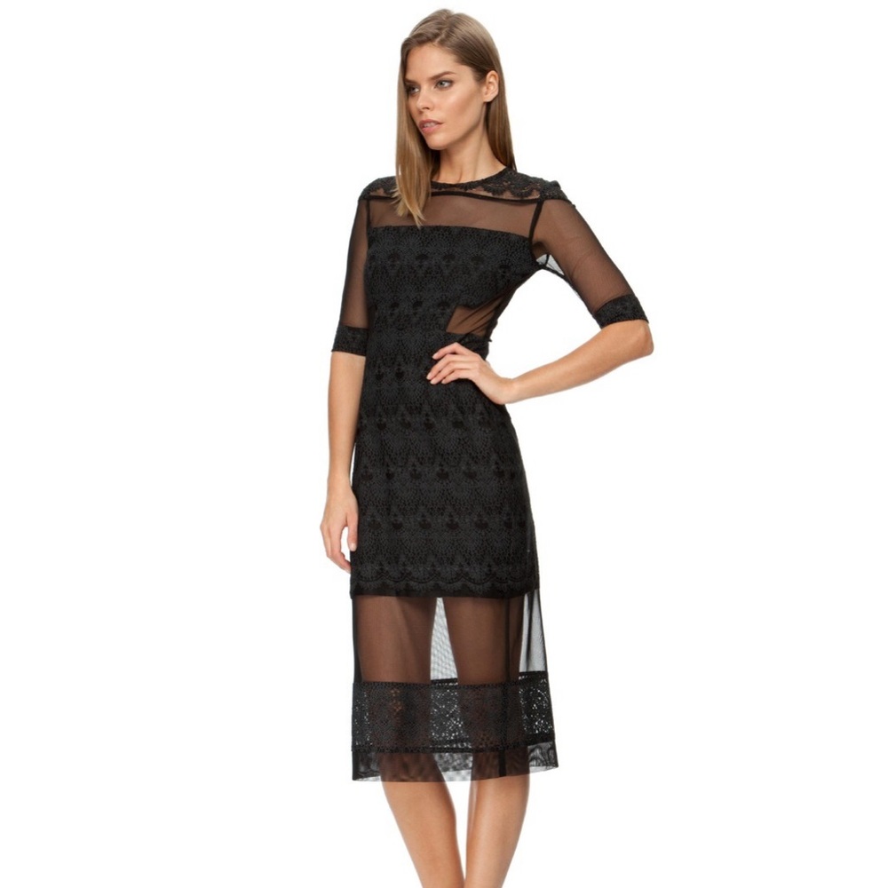 2014 SHONA JOY RUNWAY ROMANTICIST MESH SPLICED MIDI DRESS. Size 6.
